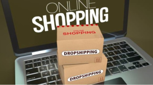 Profitable Dropshipping Niches for Beginners